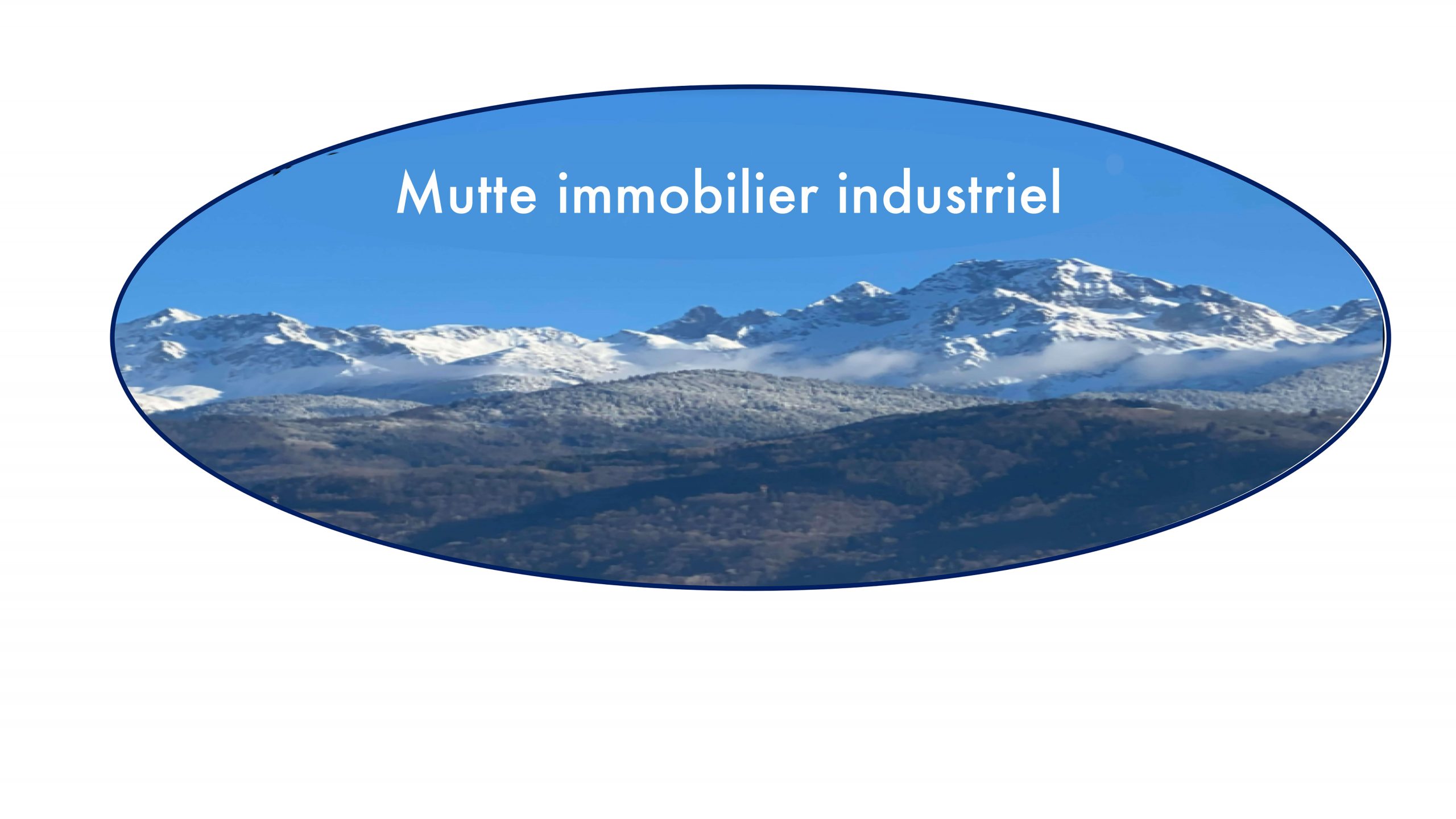 Mutte immobilier industrie